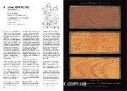 The Woodbook
